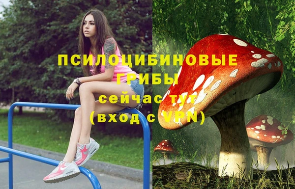 спайс Алзамай