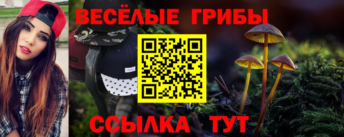 Лесной  Псилоцибиновые грибы мицелий  Вход с VPN 